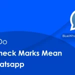 What Do Blue Check Marks Mean on WhatsApp?