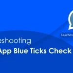 WhatsApp Blue Ticks Check