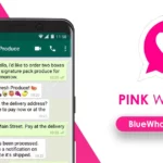 pink whatsapp plus pink whatsapp apk latest version pink whatsapp apk old version gb pink whatsapp apk download pink whatsapp download apkpure pink whatsapp link ob whatsapp pink queen pink whatsapp